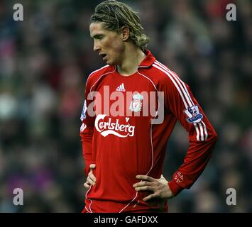 Fußball - Barclays Premier League - Liverpool / Manchester United - Anfield. Liverpools Fernando Torres ist niedergeschlagen Stockfoto