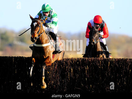 Moon over Miami und Noel Fehily (links) springen als Letzter von Big Buck's und Ruby Walsh und gewinnen die Bathwick Tires Andover-Novizen Chas auf der Rennbahn von Newbury. Stockfoto