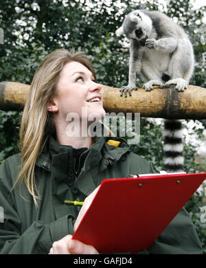 Chester Zoo jährliche Bestandsaufnahme Stockfoto