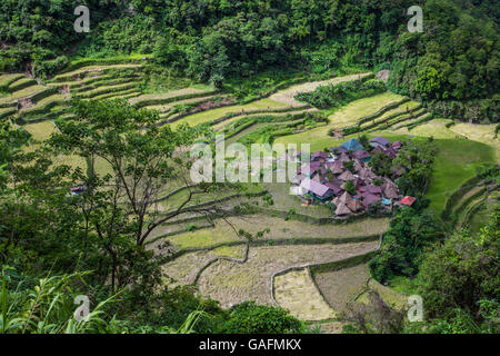 Bangaan Reisterrassen bei Banaue. Die Reisterrassen von der Ifugao wurden gebaut, um die Konturen der Berge zu folgen. Stockfoto