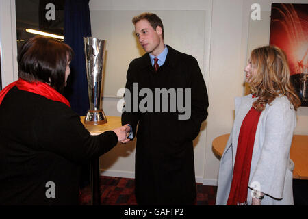 Prinz William besucht Wales V Südafrika Prinz William Cup-match Stockfoto