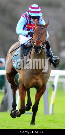 Pferderennen - Tolworth Hurdle Day - Sandown Park Racecourse. Breedsbreeze und Ruby Walsh gewinnen die Anglo Irish Bank Tolworth-Hürde auf der Sandown Park Racecourse in Surrey. Stockfoto