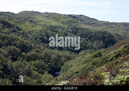 Der von Bäumen gesäumten Tal des Flusses Kirkaig unter Fionn Loch unten Suilven in der Nähe von Lochinver Assynt Sutherland Schottland Stockfoto