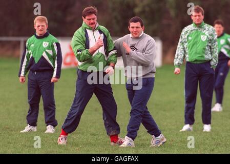 Rugby-Union - Five Nations Championships - Irland Training Stockfoto