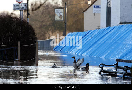 Auf den Straßen um Upton upon Severn, Worcestershire, steigt heute Hochwasser. Stockfoto