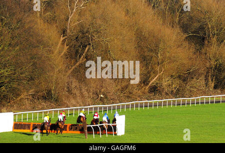 Pferderennen Sie - Lanzarote Hürde Tag - Kempton Park Rennbahn Stockfoto