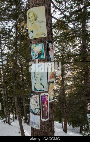 Marilyn Monroe Gedenkstätte Schrein, Skigebiet Aspen Mountain, Aspen, Colorado. Stockfoto