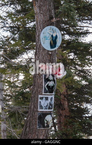 Marilyn Monroe Gedenkstätte Schrein, Skigebiet Aspen Mountain, Aspen, Colorado. Stockfoto