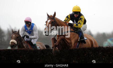 Weatherbys Bank North Yorkshire Grand National Horse Racing auf der Catterick Racecourse, Richmond. Stockfoto