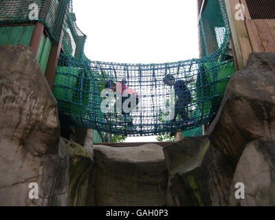 Kinder spielen auf einer Hängebrücke in einen playpark Stockfoto