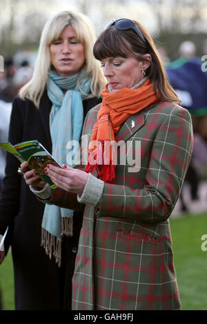 Horse Racing - Totesport Masters - Komödie auf der Rennbahn - Sandown Park Pferderennbahn Stockfoto