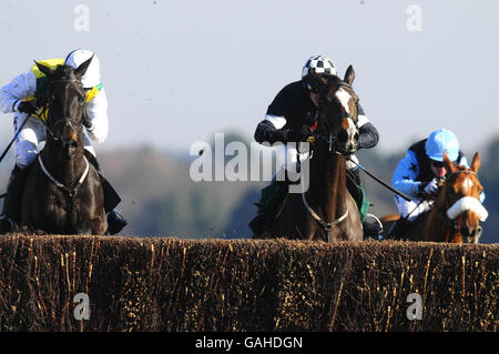 Pferderennen - kommerzielle erste Ascot jagen Tag - Ascot Racecourse Stockfoto