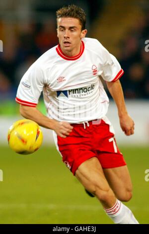 Fußball - Nationwide League Division One - Crystal Palace / Nottingham Forest. David Prutton, Nottingham Forest Stockfoto