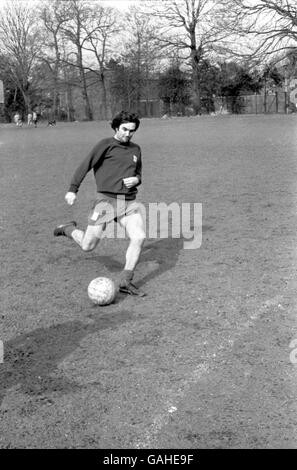 Fußballtraining - Football League Division 2 - Fulham Stockfoto