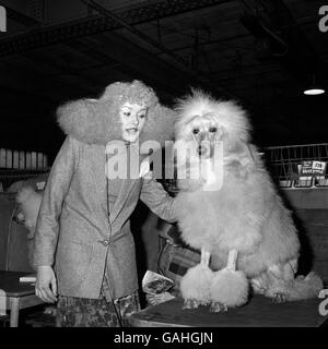 Tiere - der Crufts Dog Show - Olympia Stockfoto