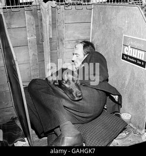 Tiere - der Crufts Dog Show - Olympia Stockfoto