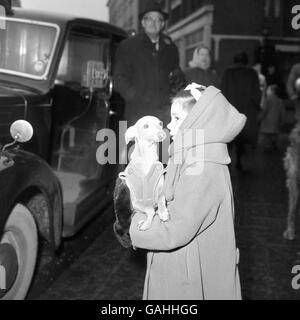 Gillian Davies trägt den italienischen Windhund Bella, der ebenfalls in einem geknöpften Mantel sitzt, als sie bei Cruft's ankommen. Stockfoto