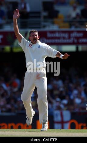Cricket - The Ashes - erster Test - Dritter Tag - Australien - England. Der englische Andrew Caddick feiert sein Dickicht des australischen Justin langer Stockfoto