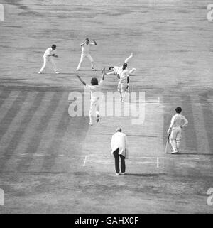 Gordon Greenidge von West Indies (zweite R) ist nicht da, da England-Wicketkeeper Alan Knott (auf dem Boden) es versäumt hat, die Bowlingbahn von Teamkollege Bob Willis zu fangen (c) Stockfoto