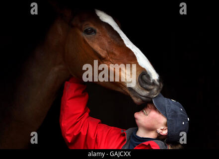 Pferderennen - Besuch der Paul Nicholls Stables - Ditcheat. Kauto Star mit stabiler Hand Sonja Warburton im Paul Nicholls Stall in Ditcheat, Somerset. Stockfoto