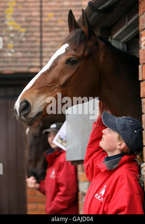 Kauto Star mit stabiler Hand Sonja Warburton im Paul Nicholls Stall in Ditcheat, Somerset. Stockfoto