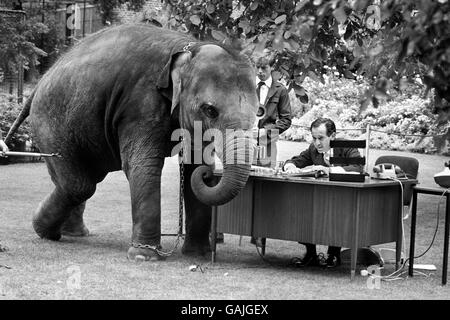 Der spanische Mime-Künstler Alberto Vidal besucht einen seiner neuen Freunde im Londoner Zoo. Herr Vidal wird zu einem der Exponate im Zoo, wenn er die täglichen Gewohnheiten des städtischen Menschen porträtiert. Stockfoto