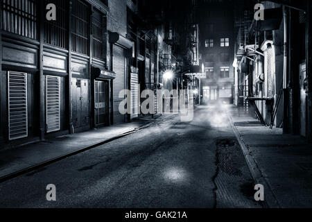 Stimmungsvolle monochrome Ansicht Cortlandt Gasse bei Nacht, in Chinatown in New York City Stockfoto