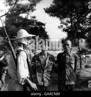 Krieg - Korea-Krieg - Koreaner bewachen Koreaner Stockfoto