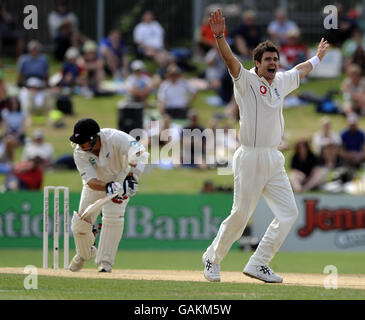 Der englische James Anderson ruft beim 3. Test im McLean Park, Napier, Neuseeland, zu einem Wicket auf. Stockfoto