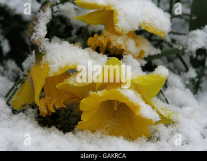 Snow hits UK Stockfoto