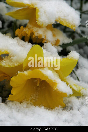 Snow hits UK Stockfoto