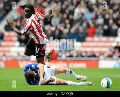 Sunderlands Kenwyne Jones und Evertons Phil Jagielka während des Spiels der Barclays Premier League im Stadium of Light, Sunderland. Stockfoto