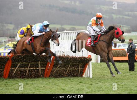 Horse Racing - Cheltenham Festival - Tag drei - Cheltenham Racecourse Stockfoto