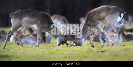 Ostern-Wetter Stockfoto