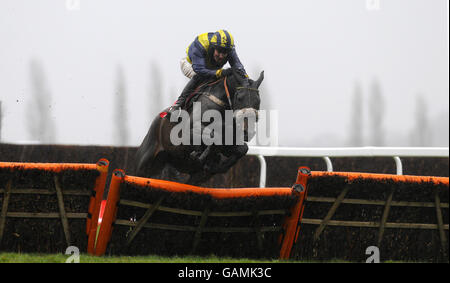 Jaunty Flight und Aidan Coleman haben die letzte Hürde für den European Breeders Fund gewonnen Byrne Bros Mares ist die einzige „National Hunt“-Novizen-Hürde auf der Rennbahn Newbury. Stockfoto