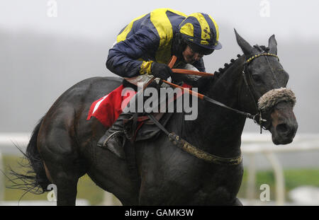 Jaunty Flight und Aidan Coleman haben die letzte Hürde für den European Breeders Fund gewonnen Byrne Bros Mares ist die einzige „National Hunt“-Novizen-Hürde auf der Rennbahn Newbury. Stockfoto