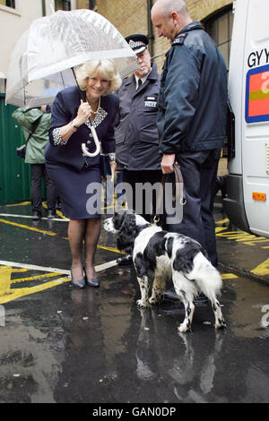 Die Herzogin von Cornwall trifft Charles auf Jake, den Helden-Cockerspaniel des Bussanschlags auf den Tavistock Square, auf der Charing Cross Polizeiwache, als Teil eines Besuches mit dem Prince of Wales, um Mitarbeitern für ihre Arbeit in der Gemeinde zu danken. Stockfoto