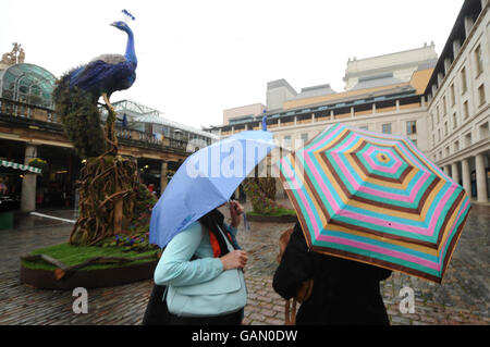 Eine von zwei 25ft Pfauenskulpturen, die vom New Yorker Designer Preston Bailey geschaffen wurden, befindet sich auf der Piazza in Covent Garden, London. Stockfoto