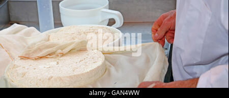 Hand von erfahrenen senior Käser steuert das Rad gerade gemacht in den Berg Molkerei Käse Stockfoto