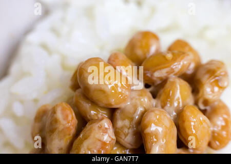 Fermentierte Sojabohnen auf weißem Reis. Japanisches traditionelles Essen, bekannt als Natto, hergestellt aus Sojabohnen. Stockfoto