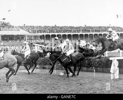 Horse Racing - das Grand National - Aintree Stockfoto