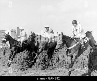 Rough and Tumble (r), Johnny Francome up, führt Zongalero (c), BR Davies up, und schließlich Gewinner Rubstic (l), Maurice Barnes up, über den letzten Zaun Stockfoto