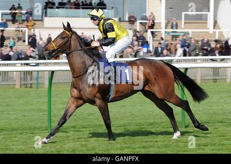 Pferderennen - Craven Meeting - Newmarket. Albabilia unter Jockey Sebs Sanders während des Leslie Harrison Memorial Nell Gwyn Stakes (Fillies' Group 3) Stockfoto