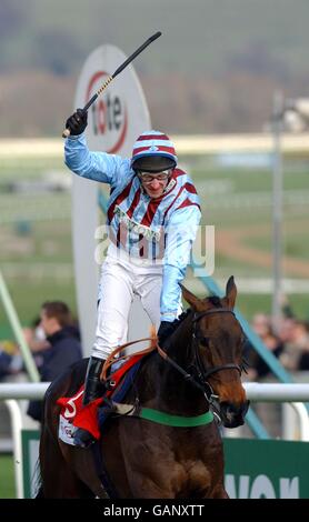 Pferderennen - Cheltenham Festival 2003. Jim Culloty feiert auf Best Mate, als er sich der Ziellinie annähert, um die Tote Cheltenham Gold Cup Steeplechase zu gewinnen Stockfoto