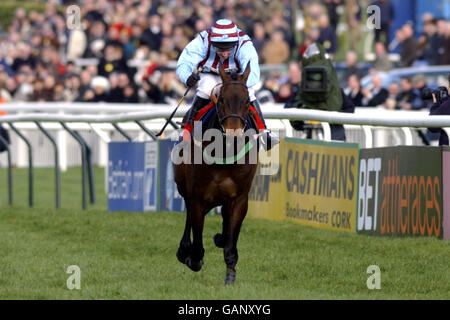 Jim Culloty über Best Mate auf dem Weg zum Sieg Die Tote Cheltenham Gold Cup Steeplechase Stockfoto