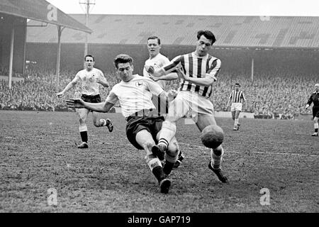 Fußball - Football League Division One - Tottenham Hotspur V West Bromwich Albion Stockfoto