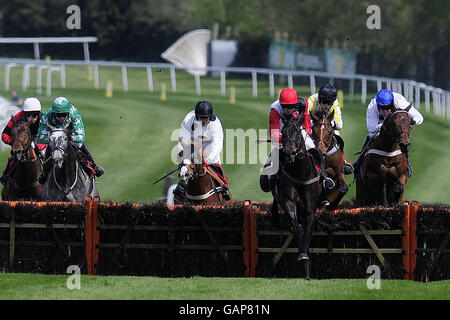 Horse Racing - Bet365 Gold Cup Meeting - Tag zwei - Sandown Pferderennbahn Stockfoto