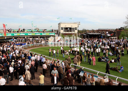 Pferderennen Sie - Bet365 Gold Cup Meeting - Sandown Park Stockfoto