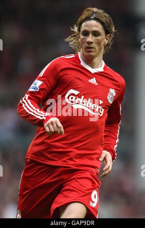 Fußball - Barclays Premier League - Liverpool - Manchester City - Anfield. Fernando Torres, Liverpool Stockfoto