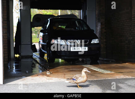 Warmes Wetter Stockfoto